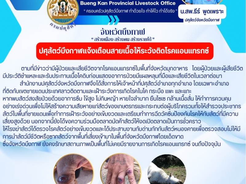 ปศุสัตว์บึงกาฬเตือนภัยเฝ้าระวังโรคแอนแทรกซ์